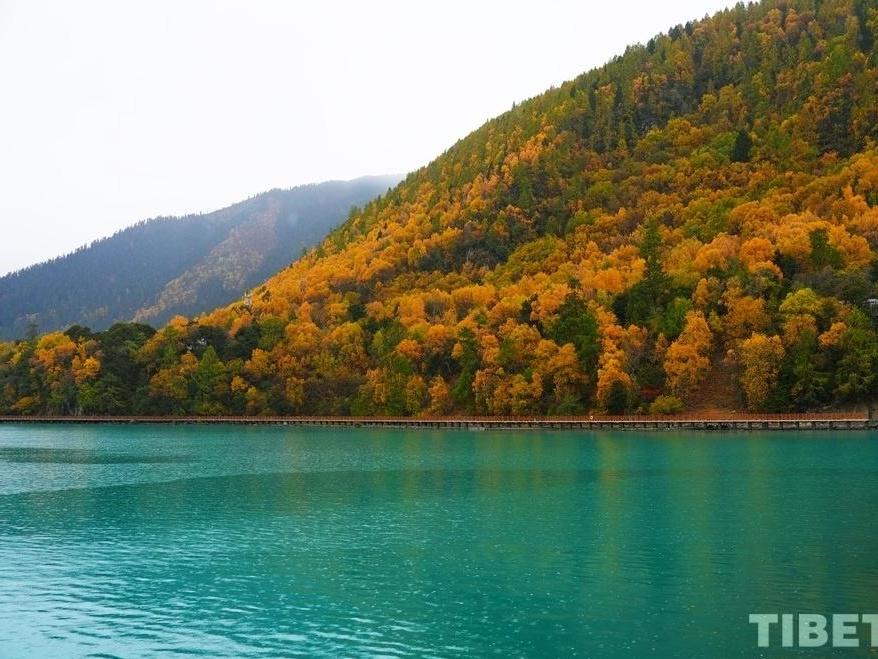 Nyingchi, Xizang: Autumn Hues and Rainfall over Basum Tso Lake