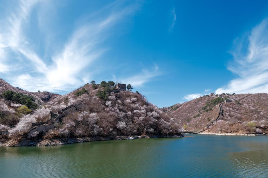 Spring scenery of Huanghuacheng Lakeside Great Wall in Beijing