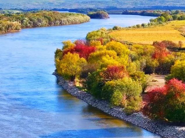 Autumn colors transform landscape in Huma county, NE China's Heilongjiang Province