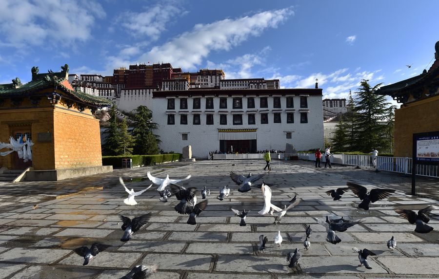 Potala Palace in Tibet reopens as epidemic measures are eased