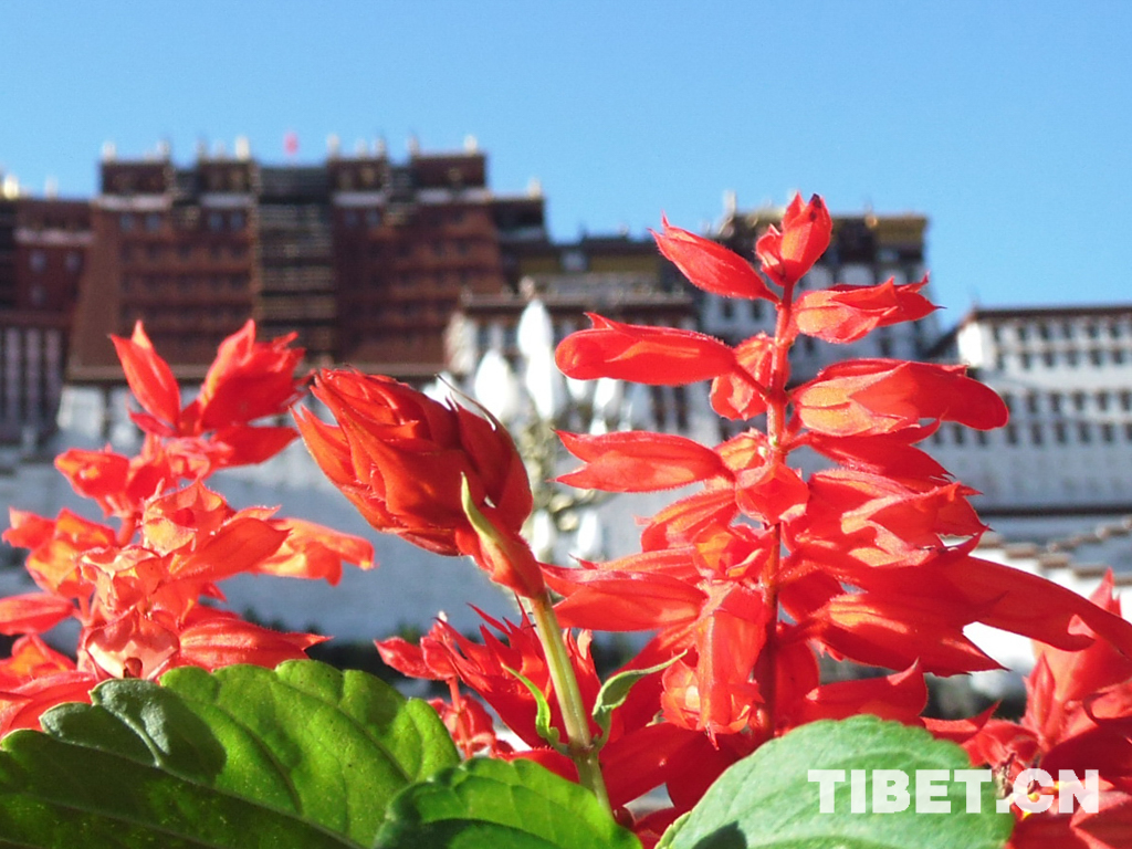 Tibet sets sights on huge boost in tourism by 2025