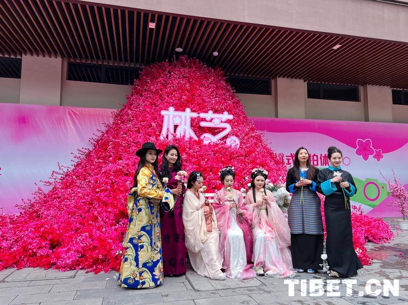 2024 Peach Blossom Tourism and Culture Festival kicks off in Nyingchi