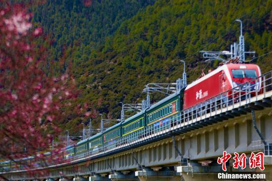 Start a Different Journey of Admiring the Beauty of Flowers with Lhasa-Nyingchi Railway