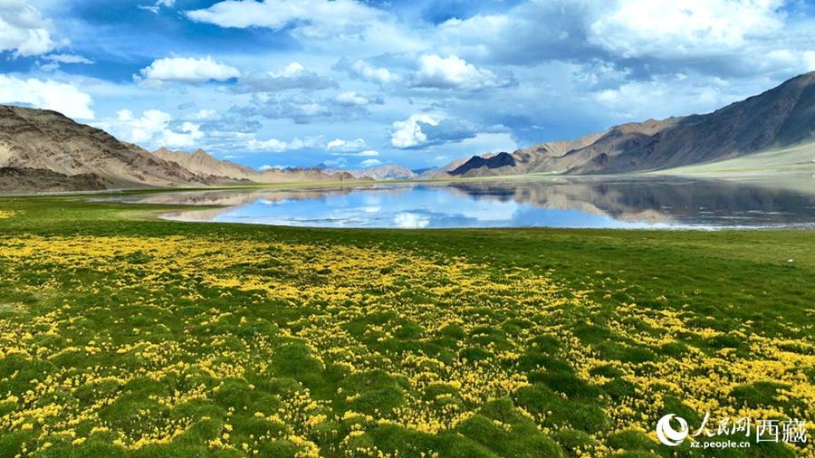 In pics: Breathtaking beauty showcases Xizang's ecological conservation results