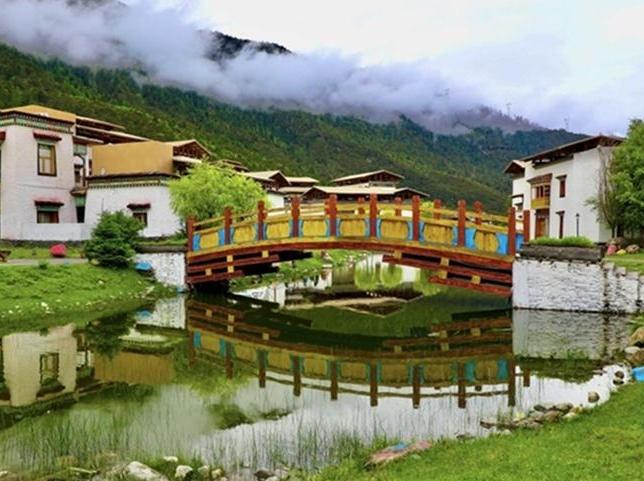 Ecological beauty translates into prosperity in Lulang township, SW China’s Xizang