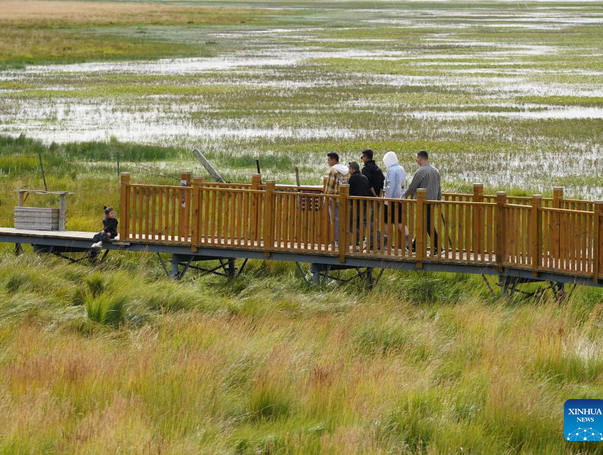 Scenery of Gahai Lake wetland in NW China's Gansu