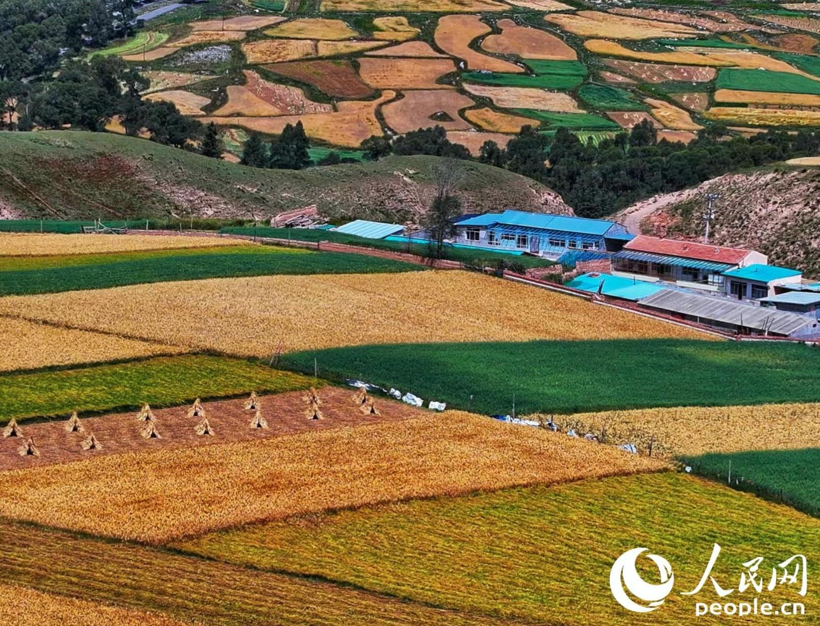 Autumn scenery of Qilian Mountains in NW China's Qinghai