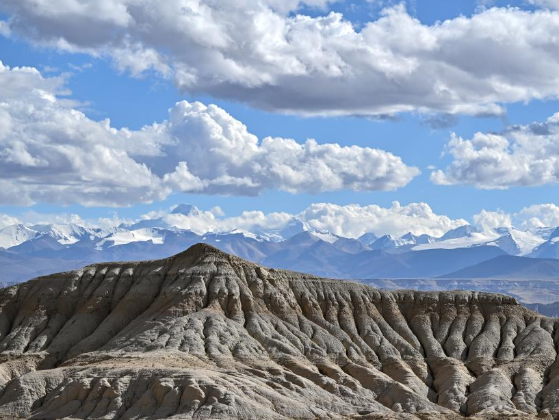 Scenery of earth forest in Zanda County, SW China's Xizang