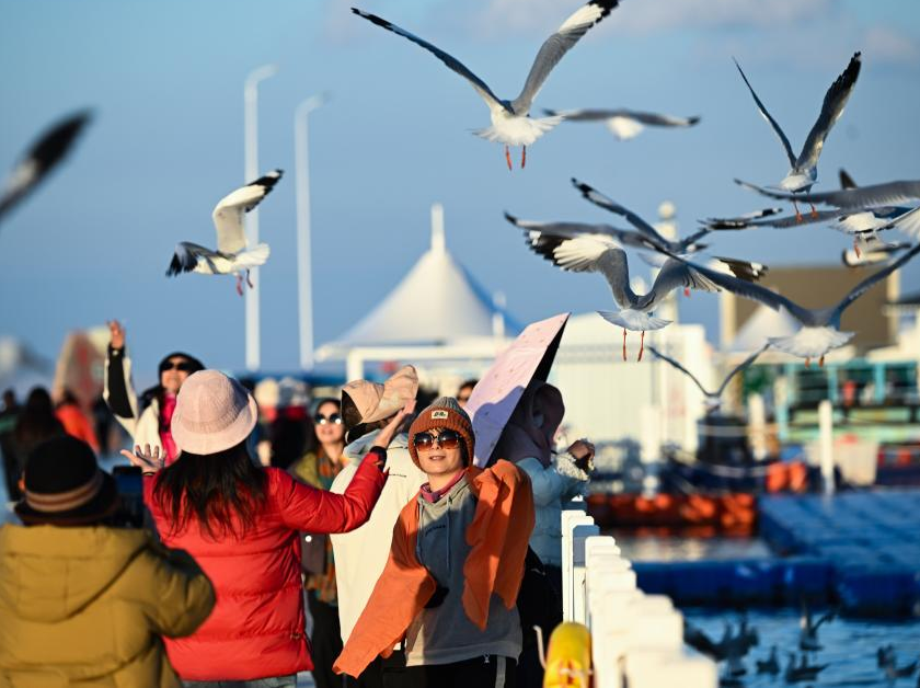 Qinghai Lake regains grandeur thanks to more rainfall, ecological protection