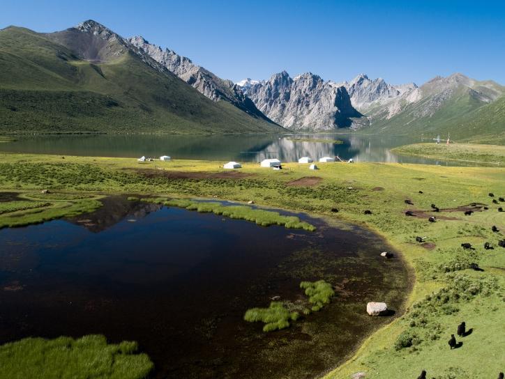 New light shed on diversity of plateau's plants