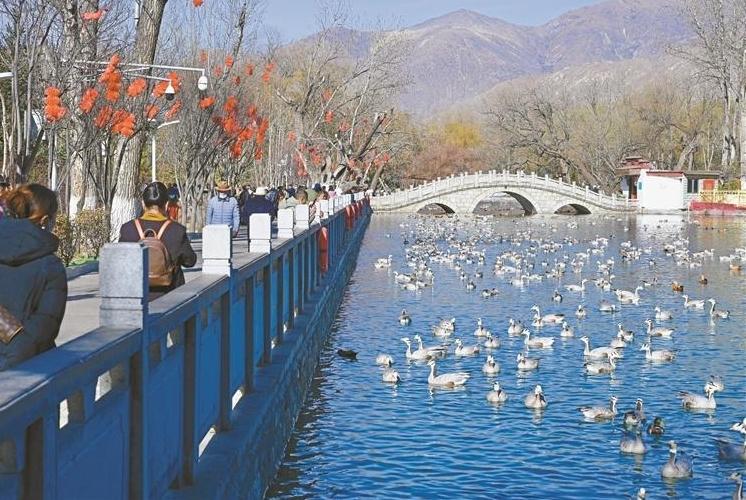 The migratory birds have not yet left, but spring has arrived